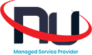 Salient IT Logo